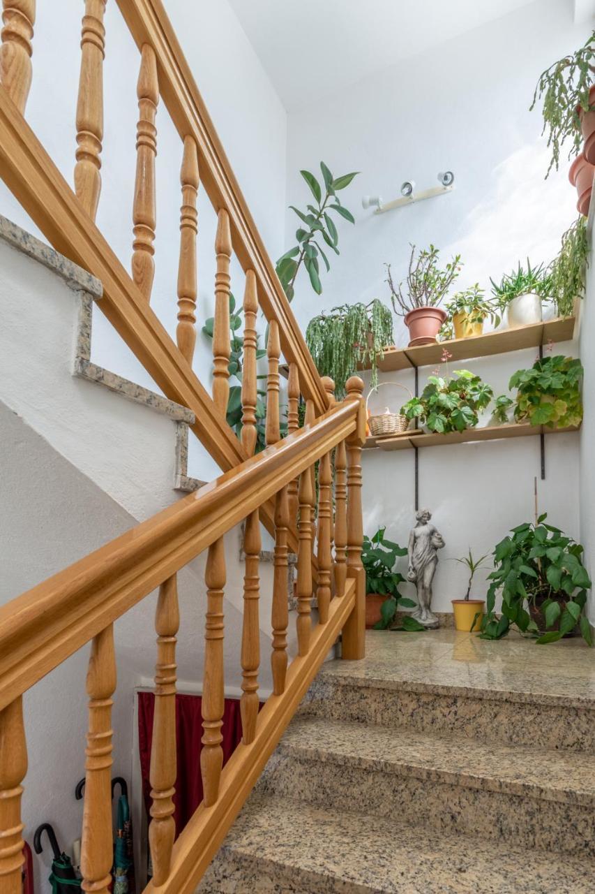 Apartments Mimi โตรกีร์ ภายนอก รูปภาพ